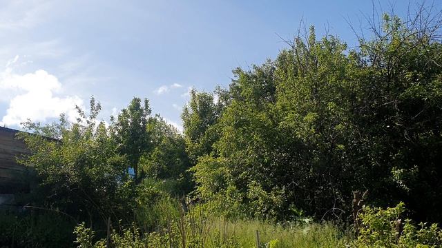 И это всё о них...