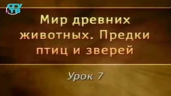 Предки птиц и зверей # 7. Ранние терапсиды