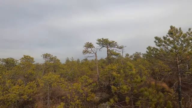 Север  красота! 😍