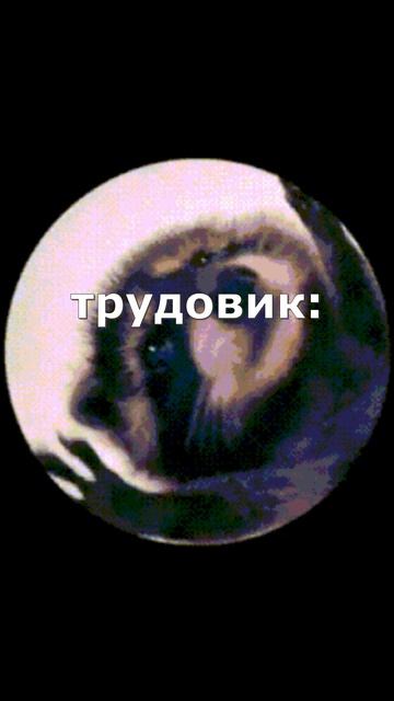 Заканчивается учебный год!!