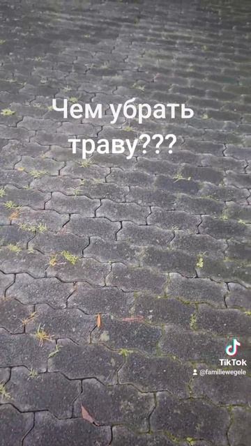 Как бороться с травой на плитке???#deutschland #вопросответ #?