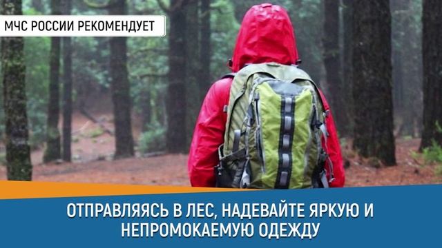 #Советдня для любителей отдыха в лесу