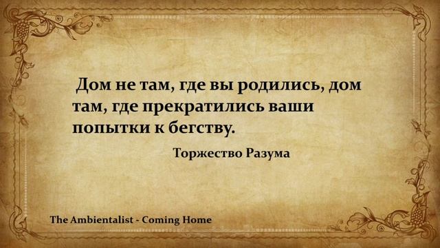 The Ambientalist - Coming Home