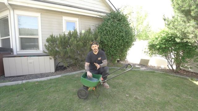 8 Steps To Thick Green Lawn In Just 3 Weeks