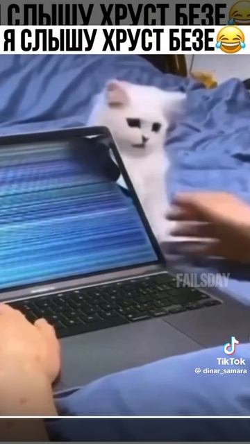 0bb4dcfd0fae107d7e54563943b9876c.mp4