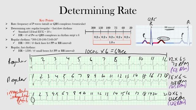 28.Determining Rate