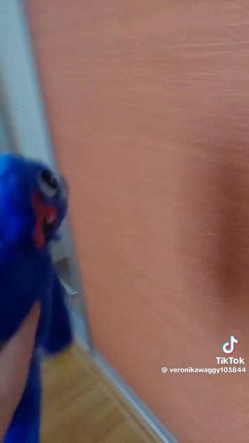 хаги ваги 💙💙💙💙💙