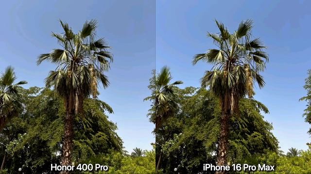 Honor 400 Pro Vs iPhone 16 Pro Max - сравнение камер в реальной жизни
