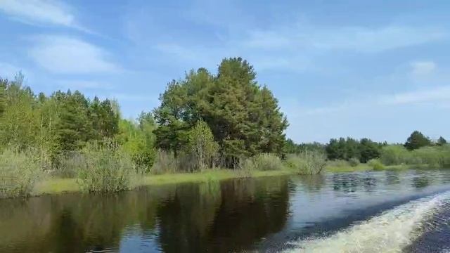 Покатушки на лодке.
