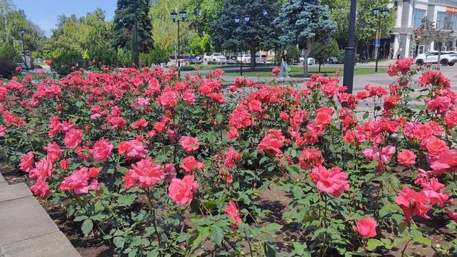 Темрюк.