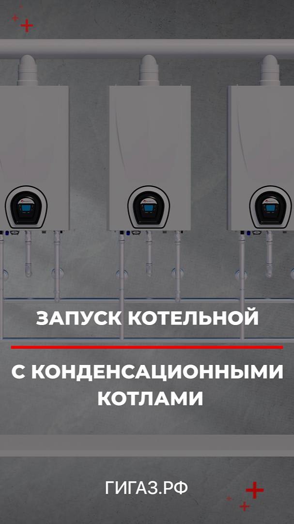 Запуск котельной любой мощности - к специалистам ТД Гигаз!
Звоните!