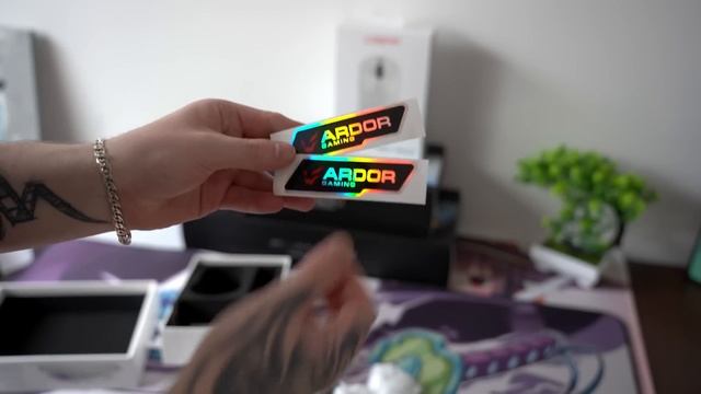 Бюджетный Набор Геймера ARDOR GAMING с DNS 2