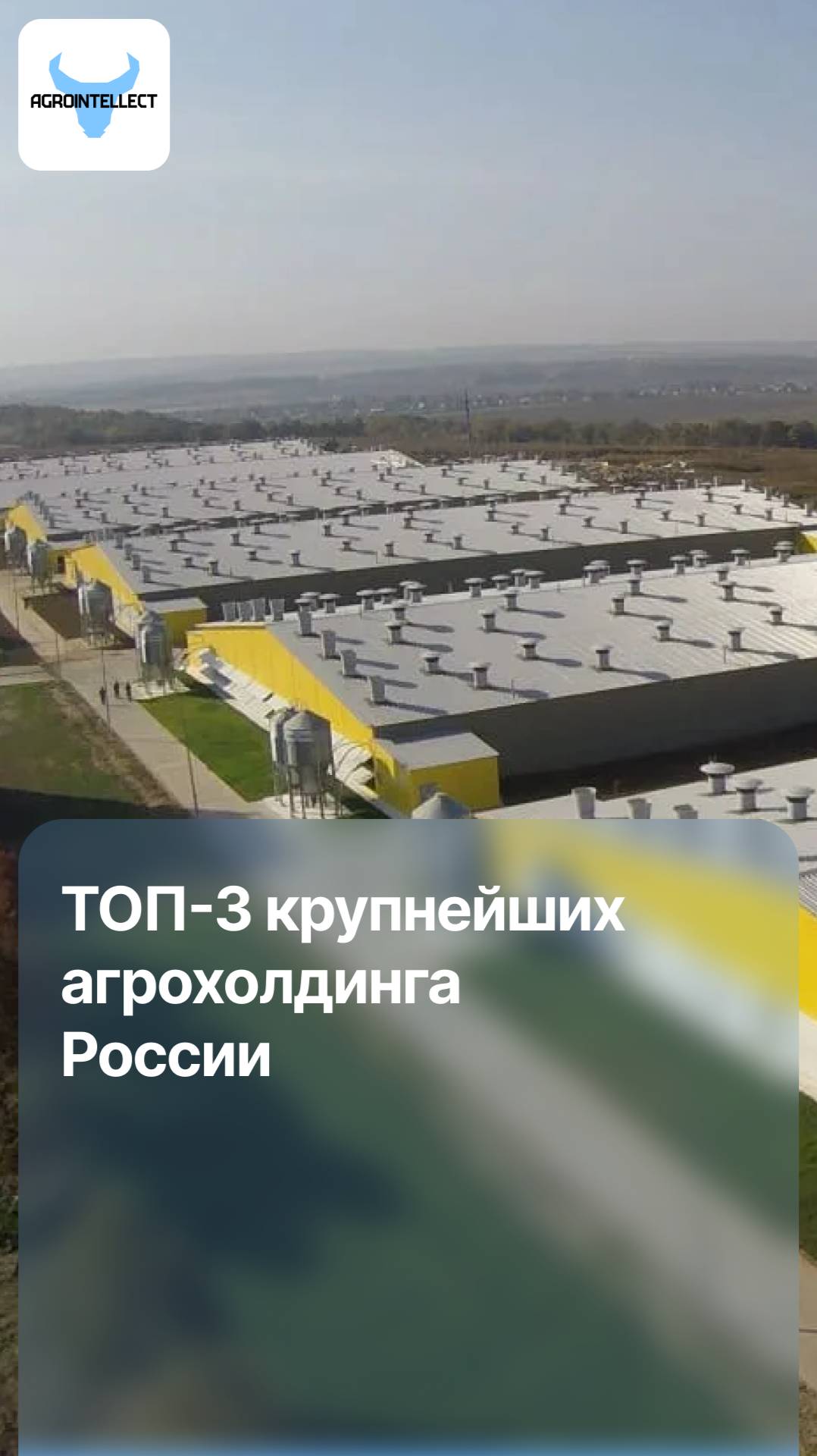 ТОП-3 крупнейших агрохолдинга России🚜