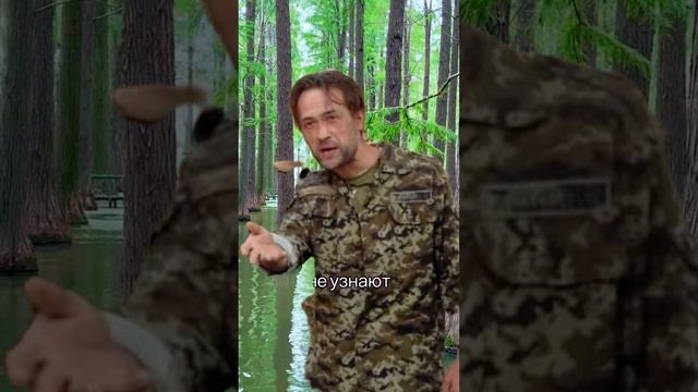 Ксения Буглак (1149)