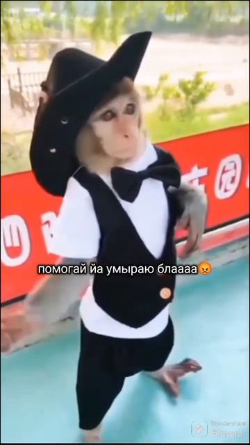 помнишь ты говорил..