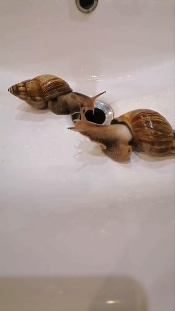 Не люблю опаздывать