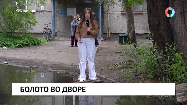 Болото во дворе