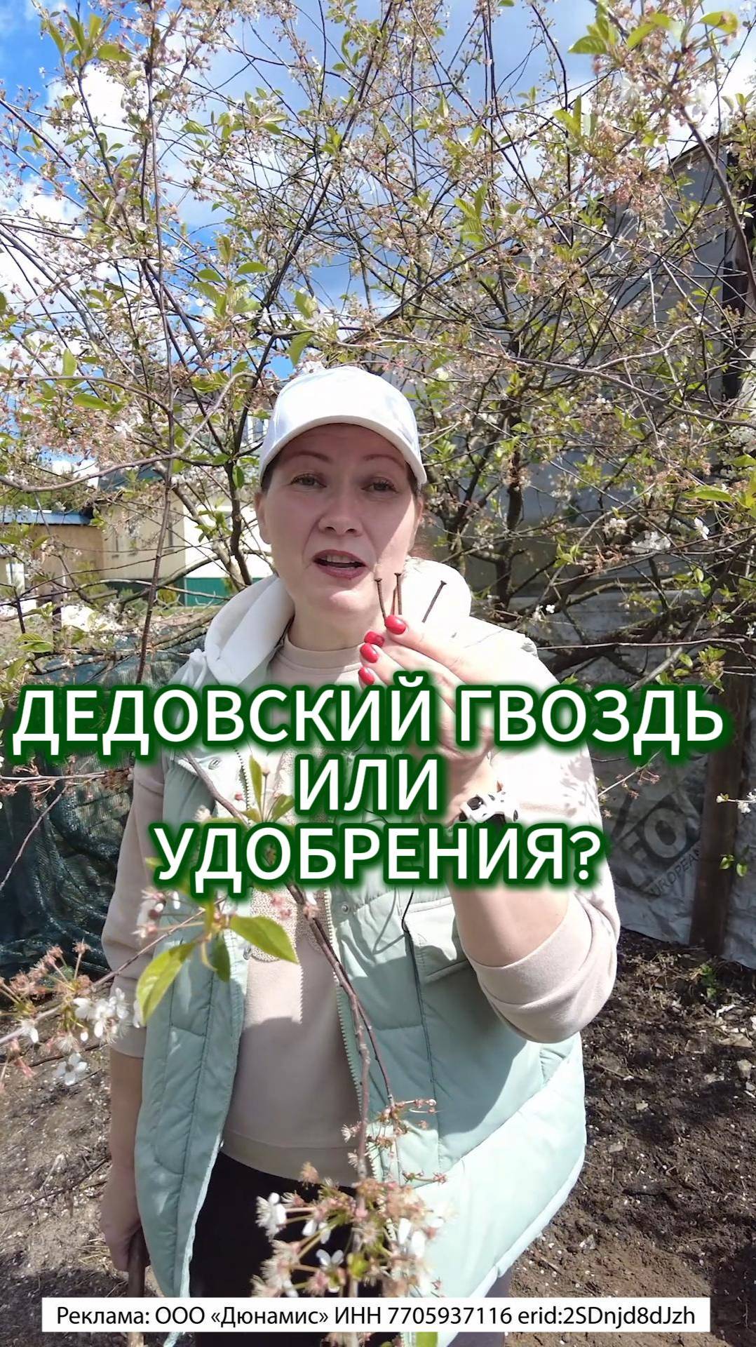 УРОЖАЙ ВИШНИ ЖЕЛЕЗНО БУДЕТ И БЕЗ ГВОЗДЕЙ!