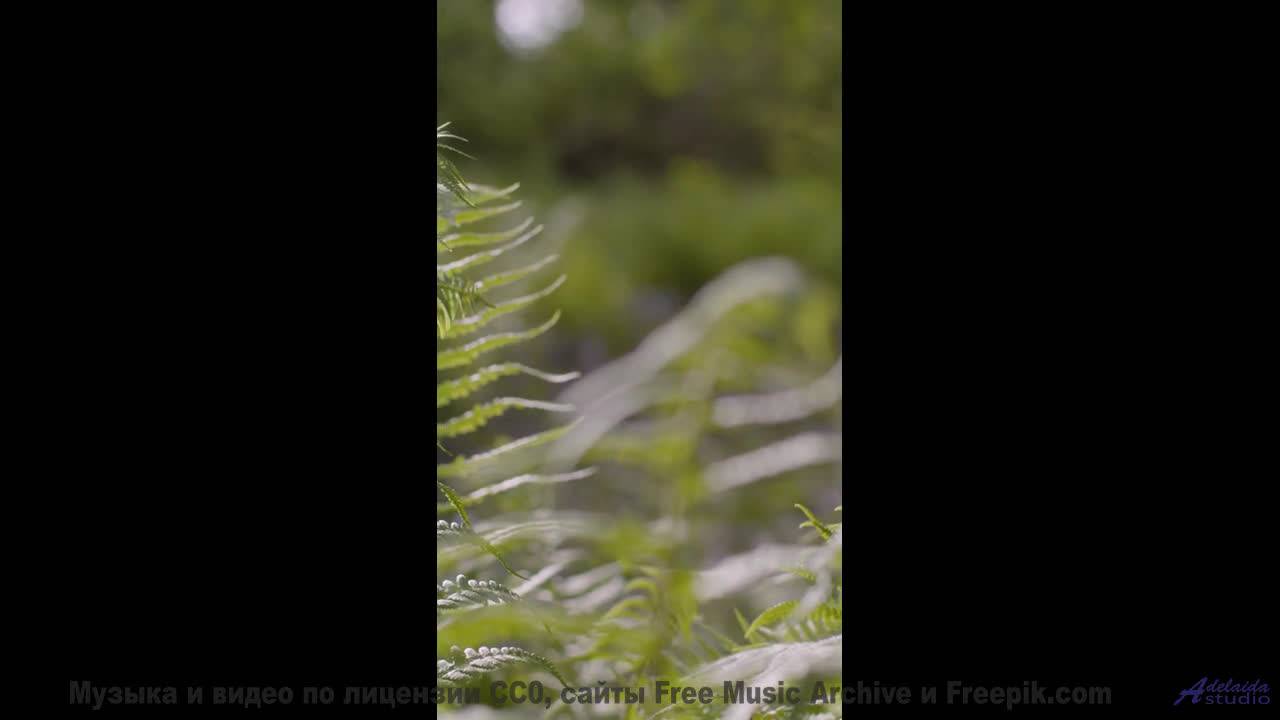 Шёпот волн и нежный синтез! - A New Day -- Scott Holmes Music -- Happy Background Music