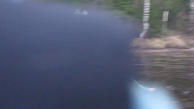 Systo 2010  - крушение плота