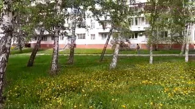 Наша природа