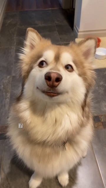 Почему мы не можем забыть бывшего?