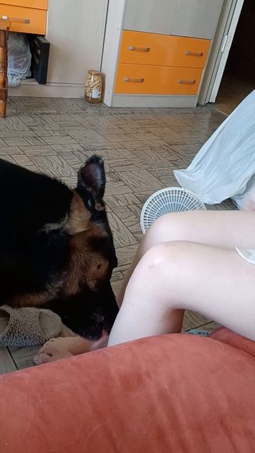 обоюдная забота❤️