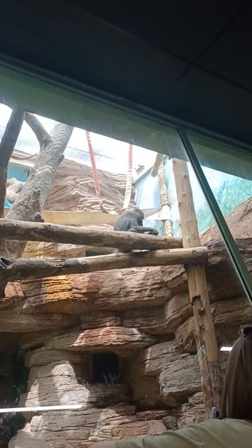 21 часть