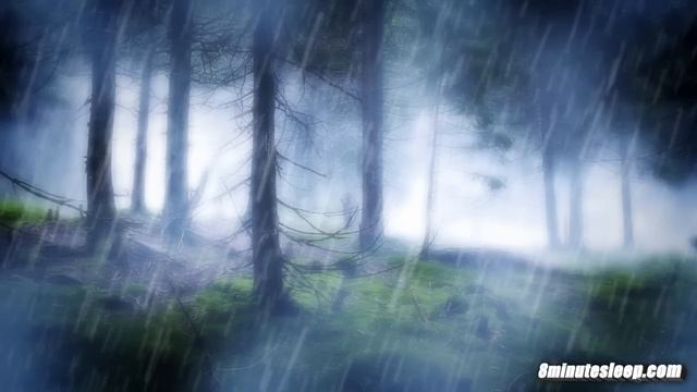 RAIN IN THE WOODS SLEEP SOUNDS | Nature's White Noise For Relaxation, Studying or Sleep | 10 Hours