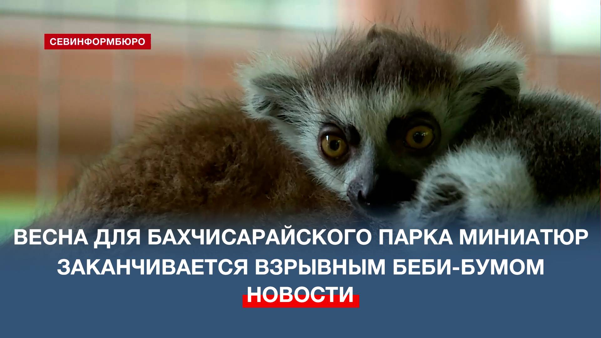 Весна для Бахчисарайского парка миниатюр заканчивается взрывным беби-бумом