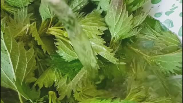 Салат из крапивы и обзор моих покупок