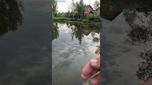 Микро дроп-шот с отводом ловит карасей. Ловлю УЛ кастингом с дроп-шотом. Как вязать оснастку
