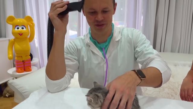 Miss Katy|Мисс Кэти Катя и Макс купают котят