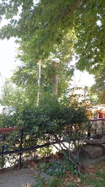 Zeashta Devi Temple, Шри Нагар, Индия Навсегда