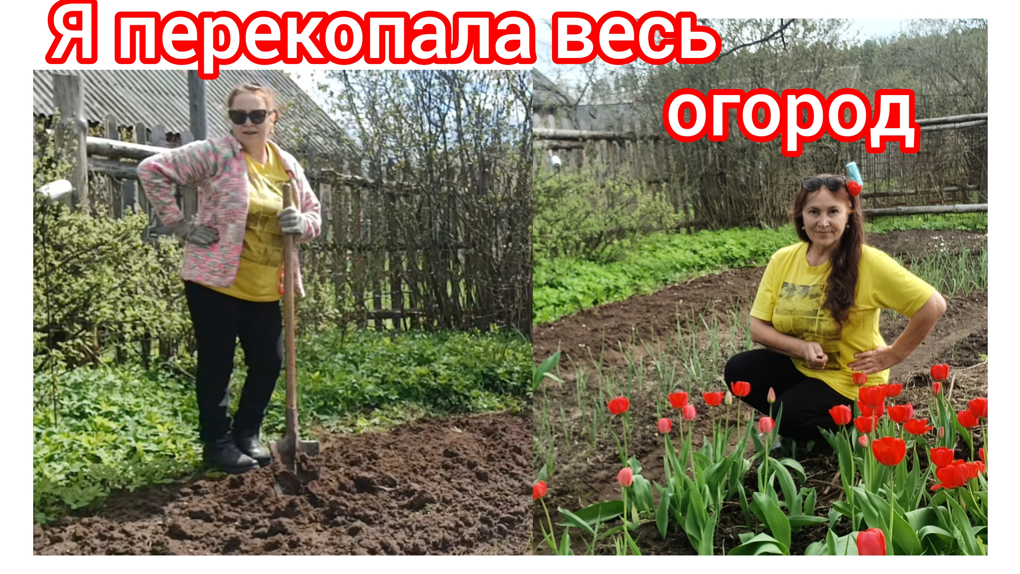 Что мы посадили на огороде 🌿😃😁😀