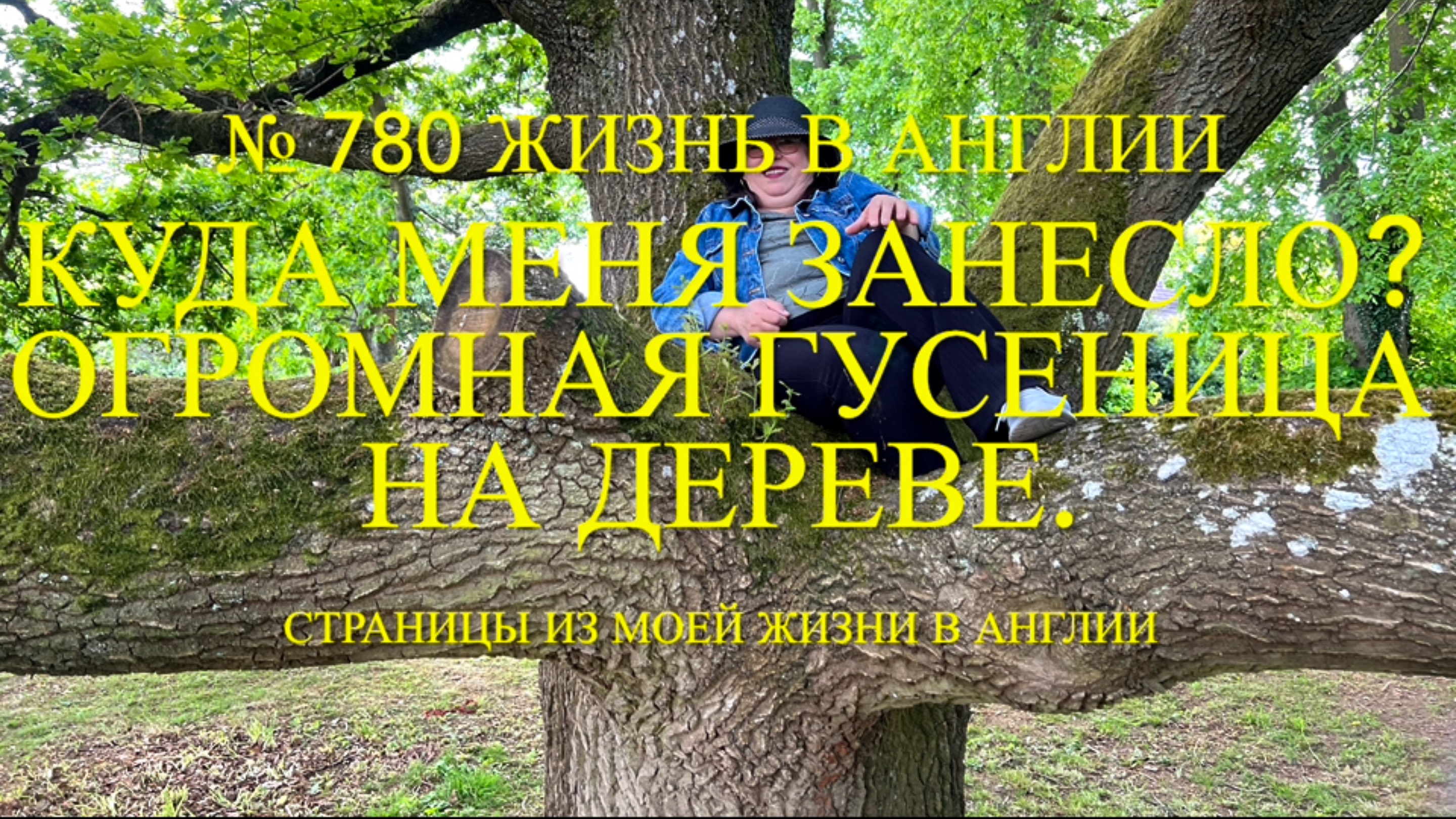 Куда меня занесло? Огромная гусеница на дереве. № 780 Жизнь в Англии