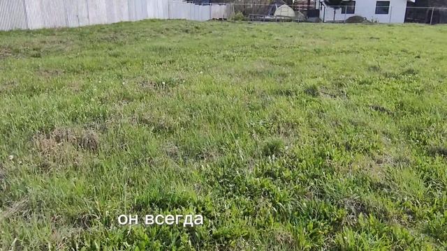 Земельный участок 13 сот. в д. Волгучинская