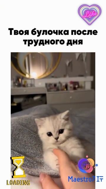 💻 После трудного рабочего дня ...