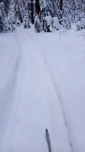 VID_20250107_140542.3gp