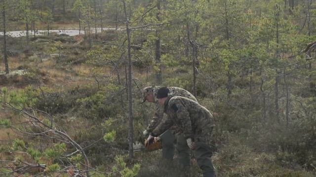 Особенности национальной охоты в Архангельске. Охота