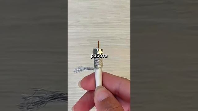 история