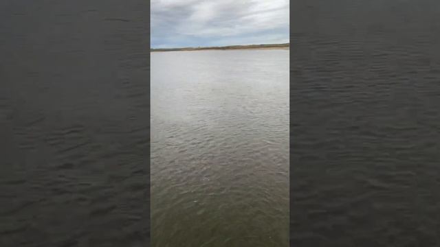 ✅✅✅50 ТОНН тащит по реке/50 tons float on the river
