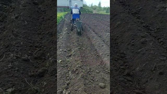 1000035253.mp4