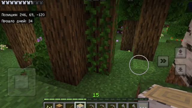 Minecraft game