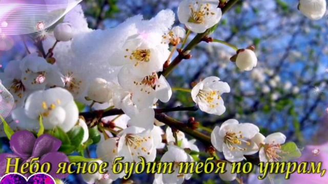 ДО СВИДАНИЯ, ВЕСНА! 💚 ЗДРАВСТВУЙ, ЛЕТО! 🌞🌺🌼