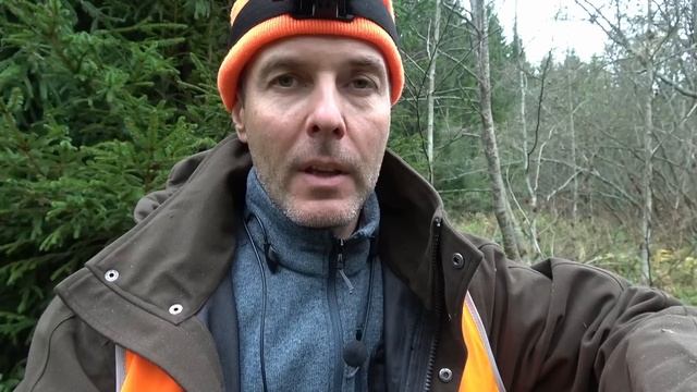 Охота на лося. Открытие 2024