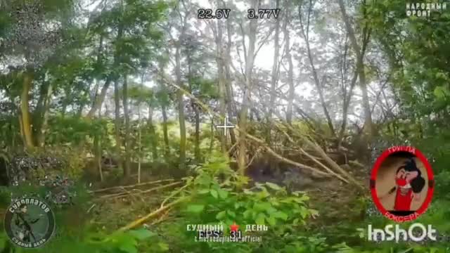 Лежебок застали врасплох.