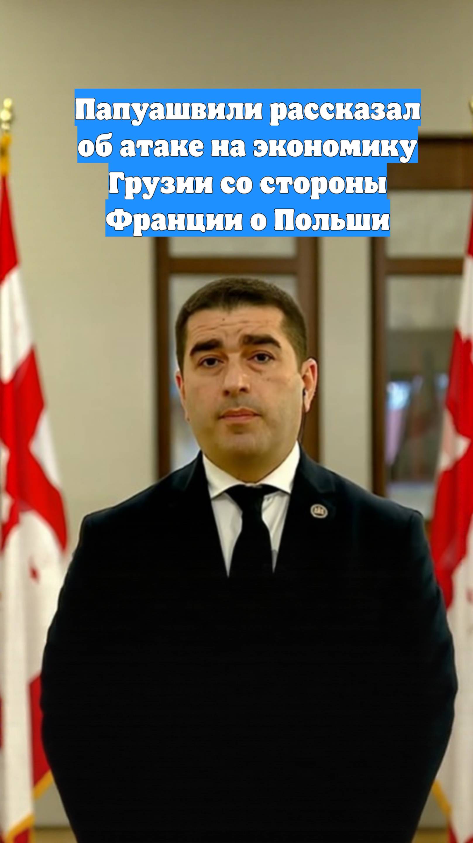 Папуашвили рассказал об атаке на экономику Грузии со стороны Франции о Польши
