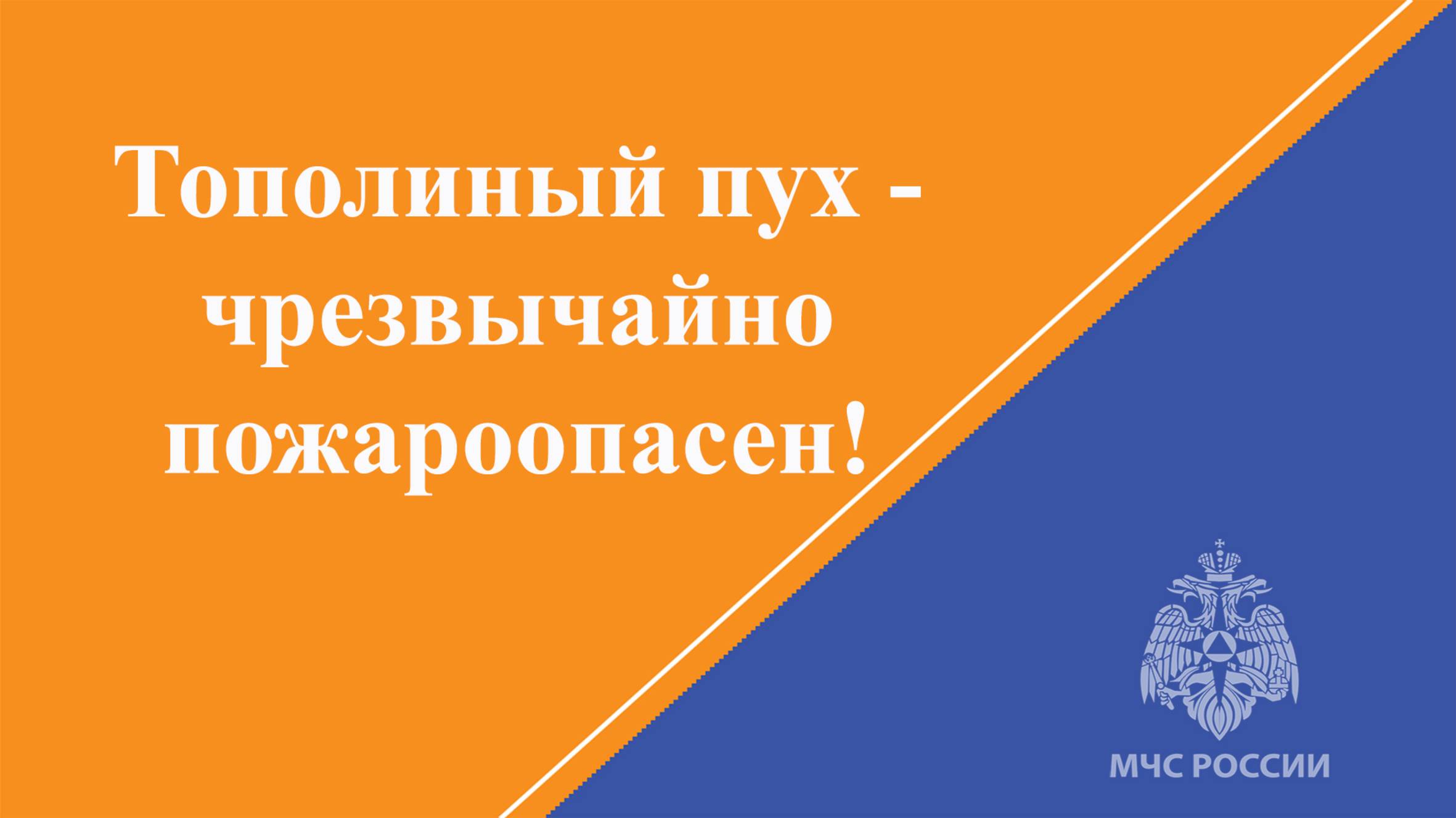 📹 О высокой пожароопасности тополиного пуха