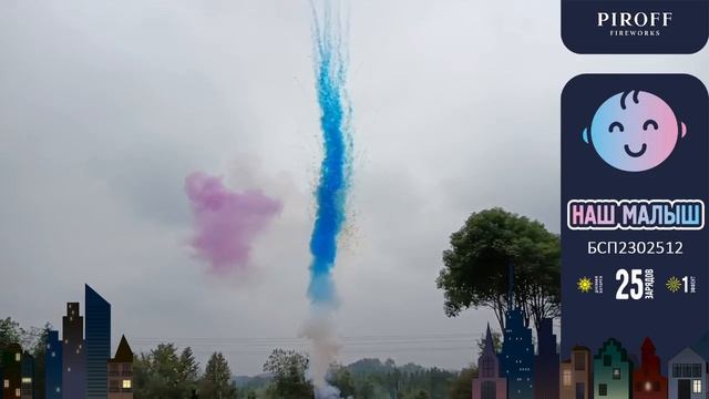 БСП2302512